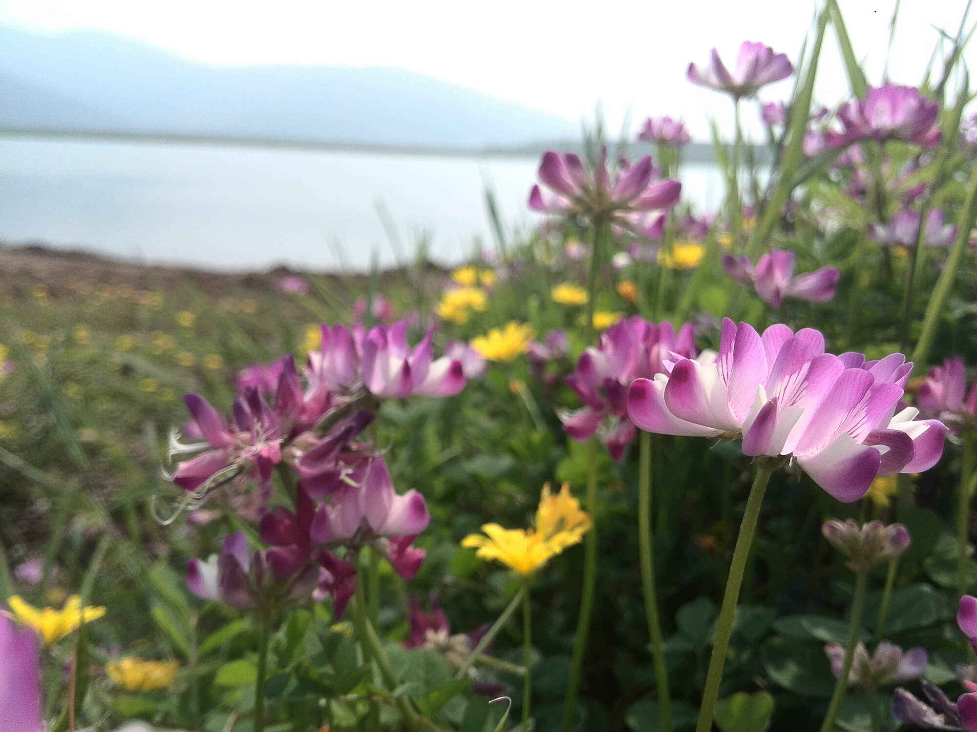 IMG_20170329_143924副_副本.jpg