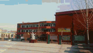 动图.gif